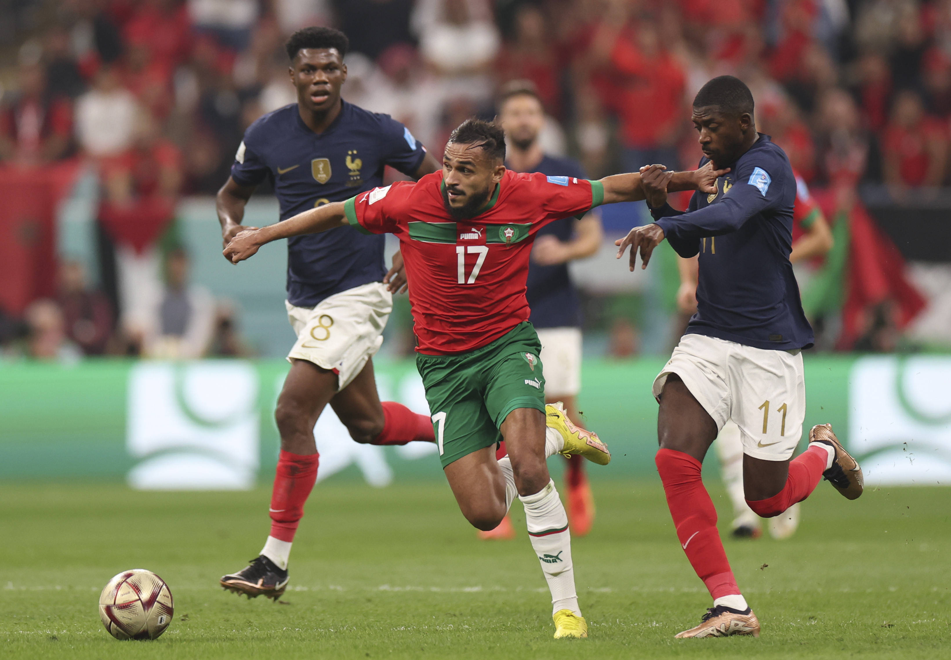 许将成为球 许将成为球